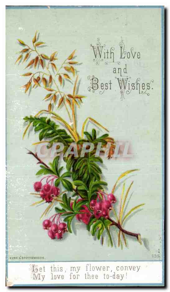 Chromo With Love and Best Wishes Fleurs 