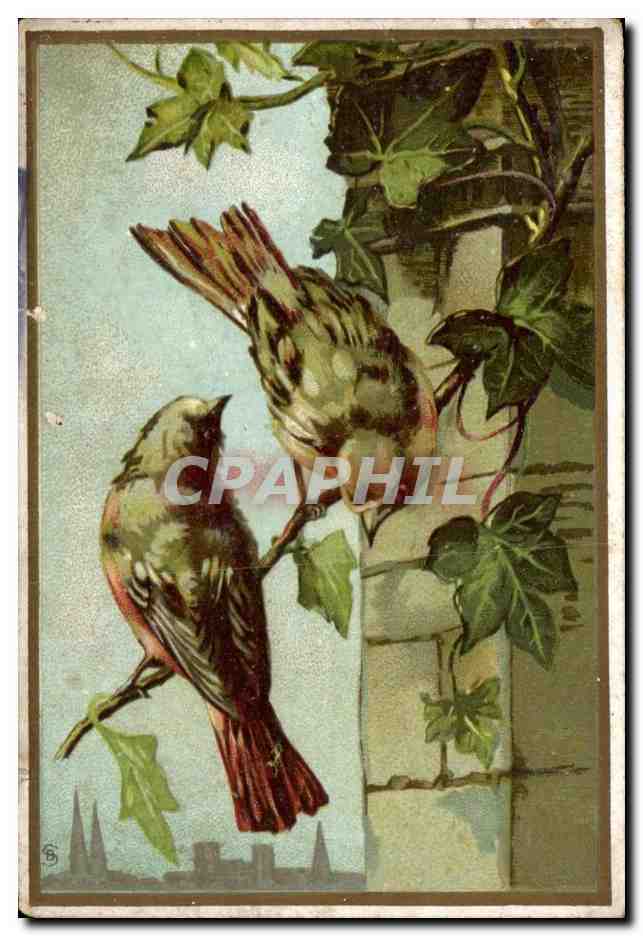 Chromo Oiseaux 