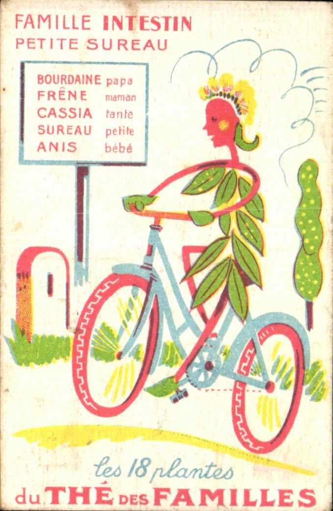 IMage The des Familles Velo 