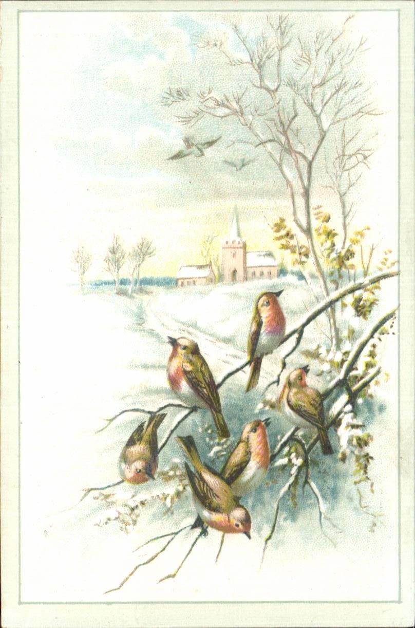 Chromo Chocolat Saintoin Oiseaux