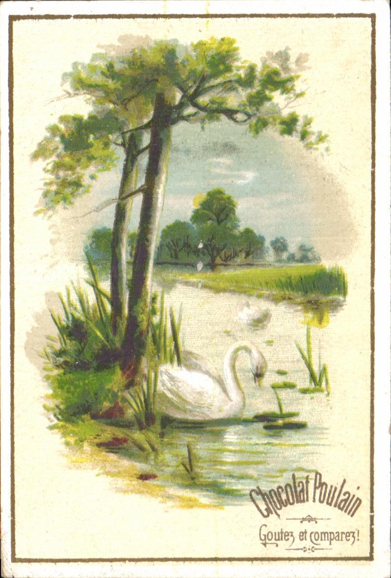 Chromo Chocolat Poulain Cygne