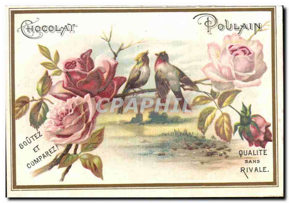 Chromo Chocolat poulain Oiseaux et fleurs 
