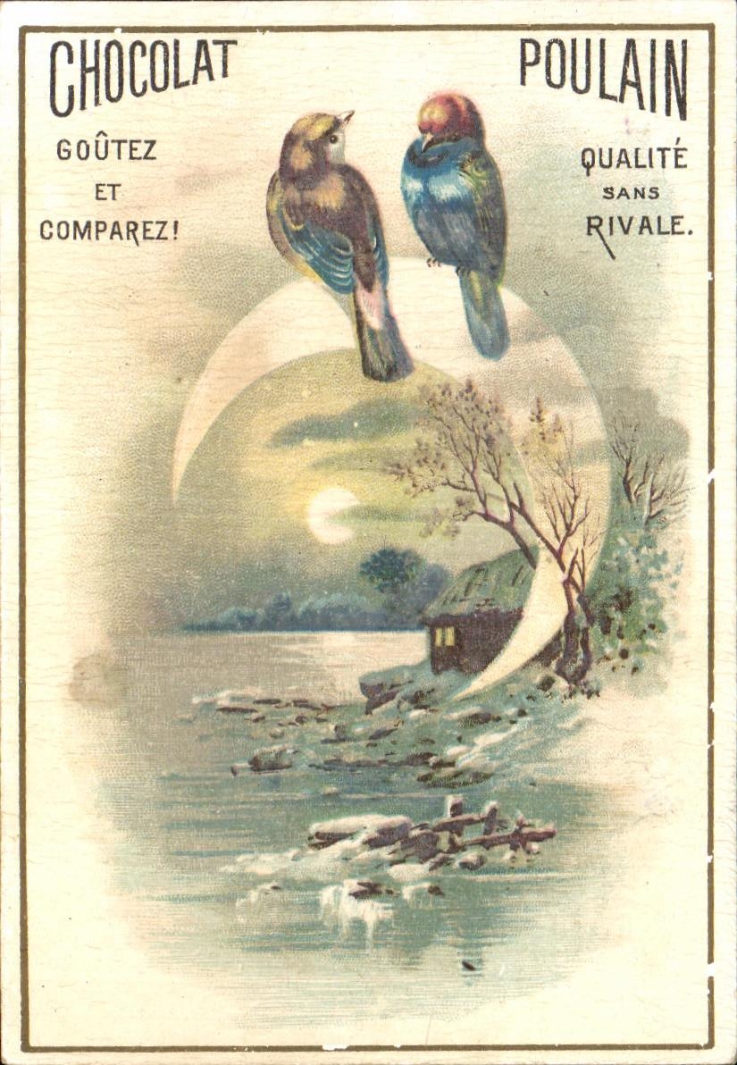 Chromo Chocolat poulain oiseaux