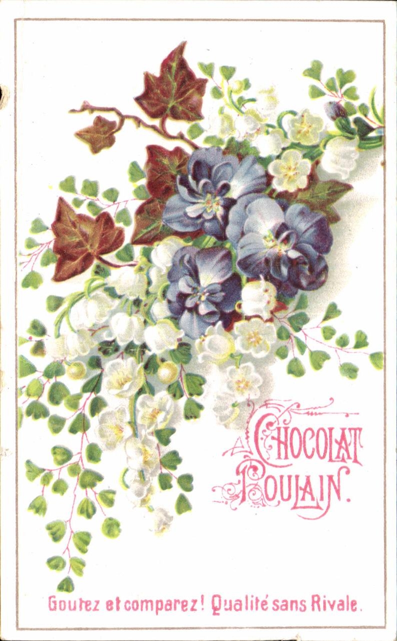 Chromo Chocolat Poulain Fleurs