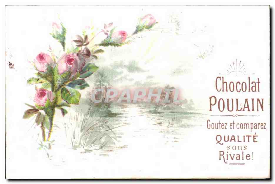 Chromo Chocolat Poulain Fleurs 