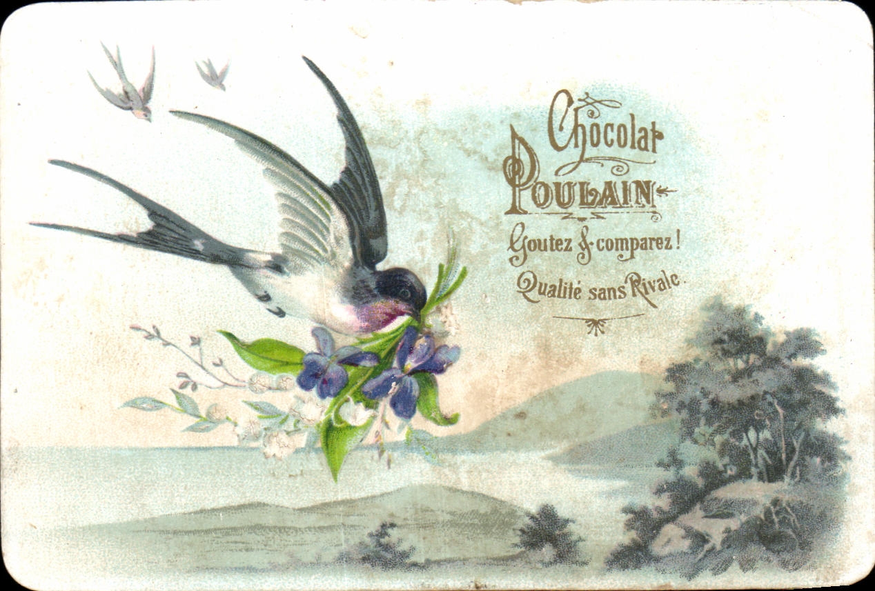 Chromo Chocolat Poulain Oiseau Hirondelle