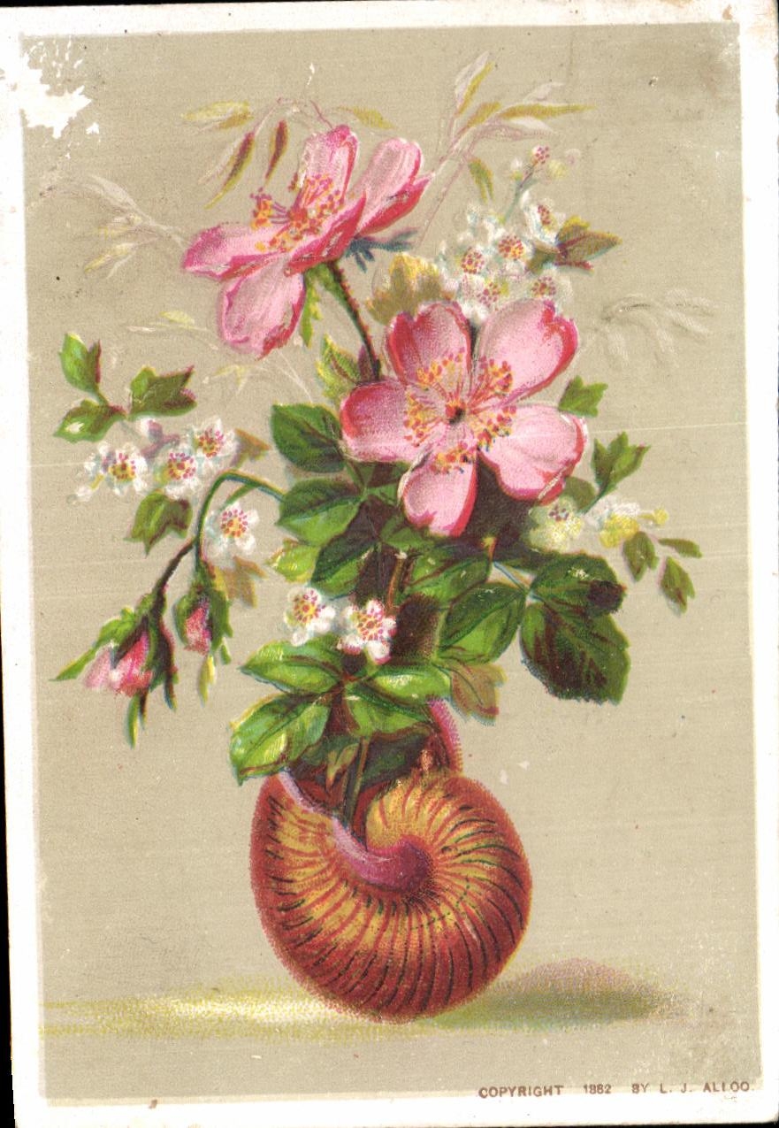 Chromo Mathilde Danet rue Denis Papin Marche Neuf Blois Escargot 