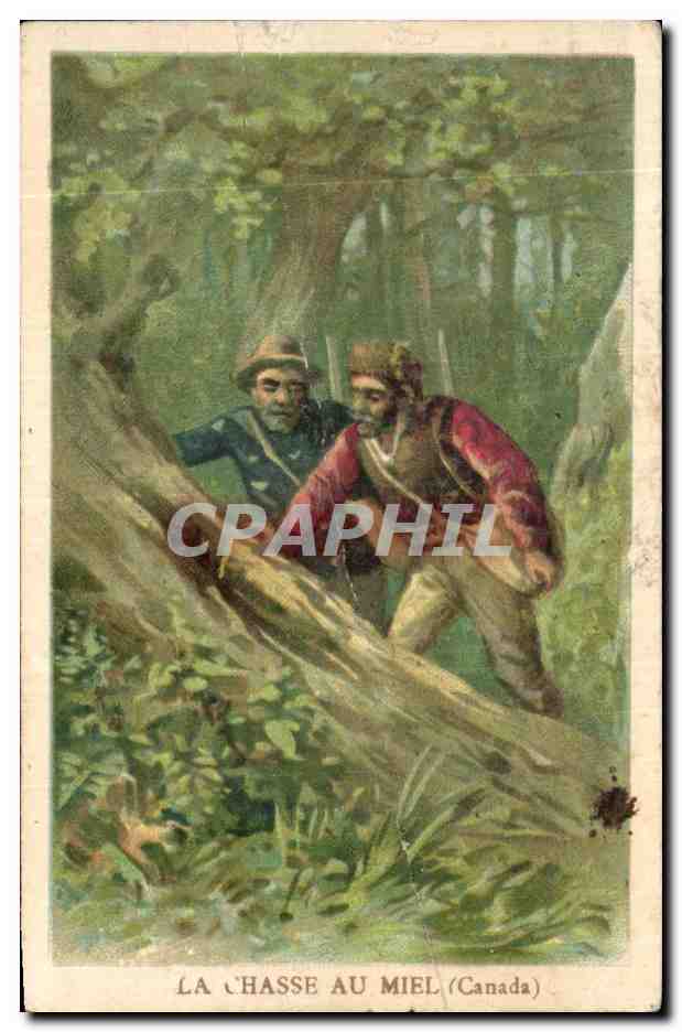 Chromo La Chasse Au Miel Canada