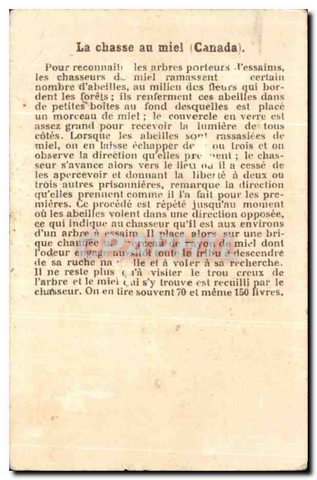 Chromo La Chasse Au Miel Canada — Back