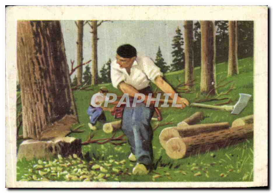 Image Serie Educative Les Metiers Le Bucheron Le bois fut le premier materiau utilise par l'homme Paris