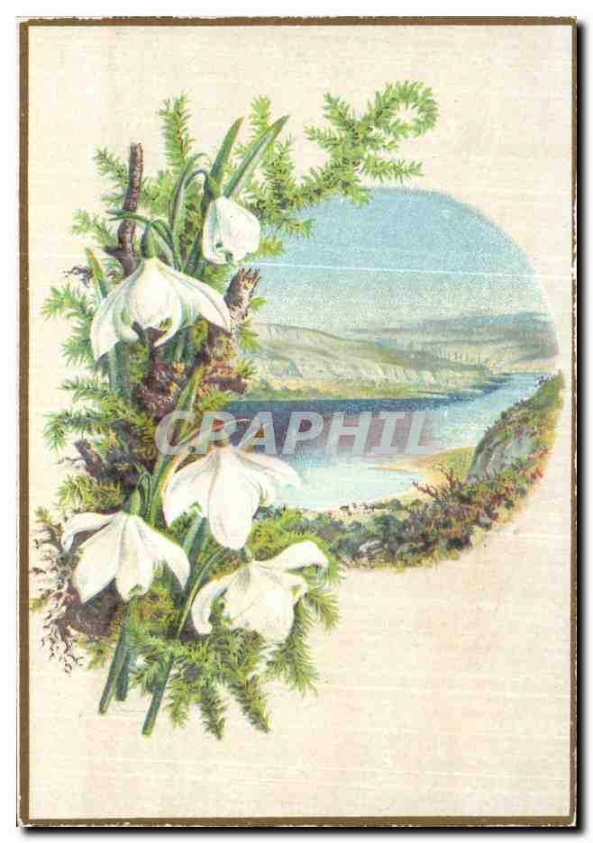 Chromo Fleurs Fleurs 