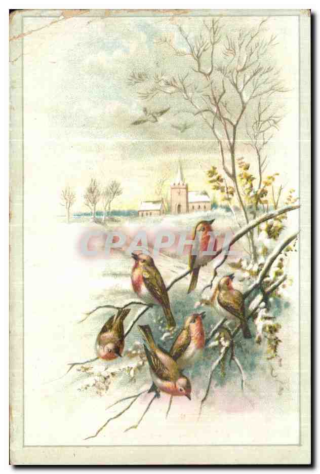 Chromo Chocolat Saintoin Oiseaux