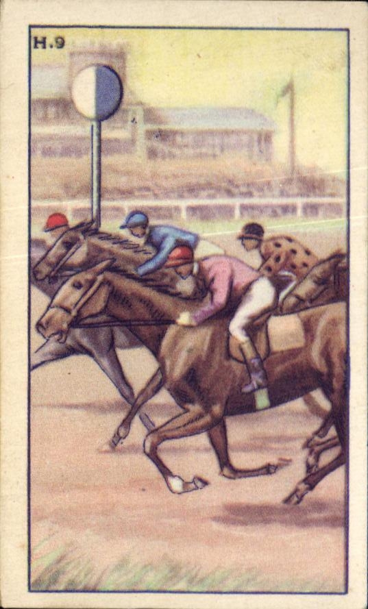 Image Patrons Patissiers Serie Hippodrome Wellington Ostende Chevaux 
