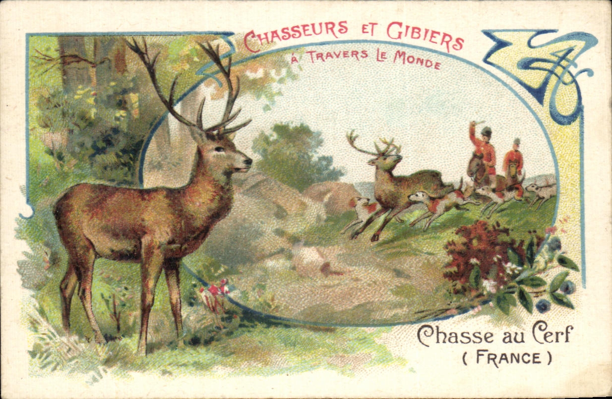 Chromo chicoree Williot Chasseurs et gibiers Chasse au cerf Biche Chiens 