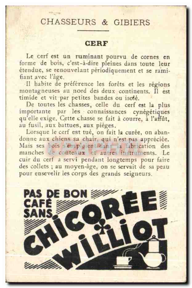 Chromo chicoree Williot Chasseurs et gibiers Chasse au cerf Biche Chiens  — Rückseite
