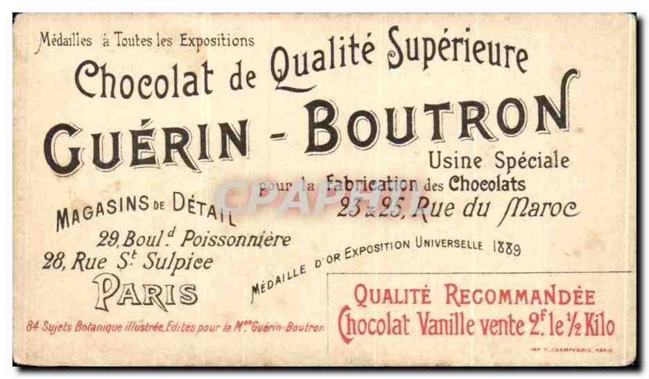 Chromo Chocolat Guerin Boutron Botanique Illustree La Rhubarde mets Russe  — Verso