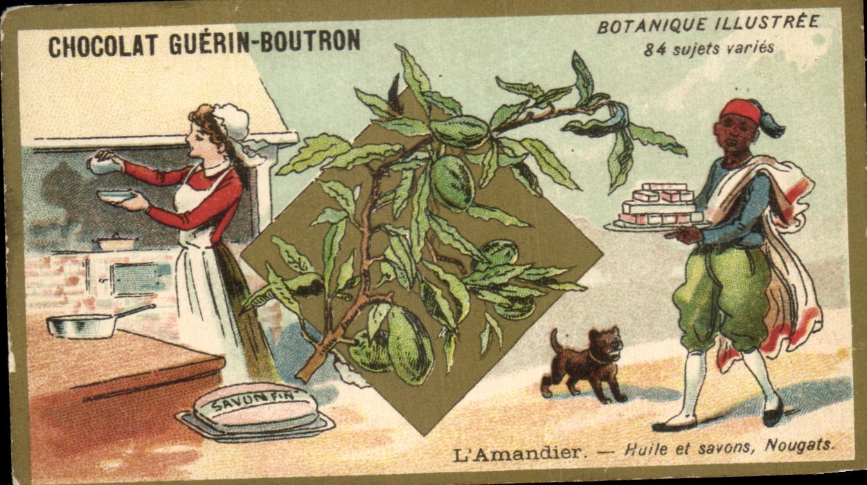 Chromo Chocolat Guerin Boutron Botanique Illustree L'Amandier Huile et Savons Nougats 