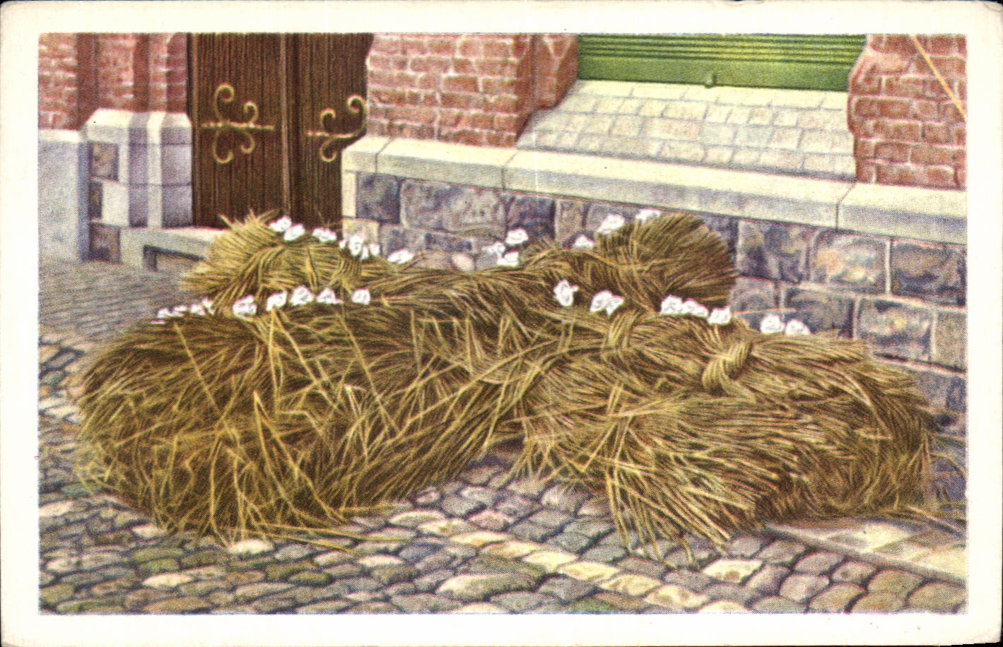 Image Collection de Folklore Belge Cote d'or Flandre la croix de paille devant la maison mortuaire 