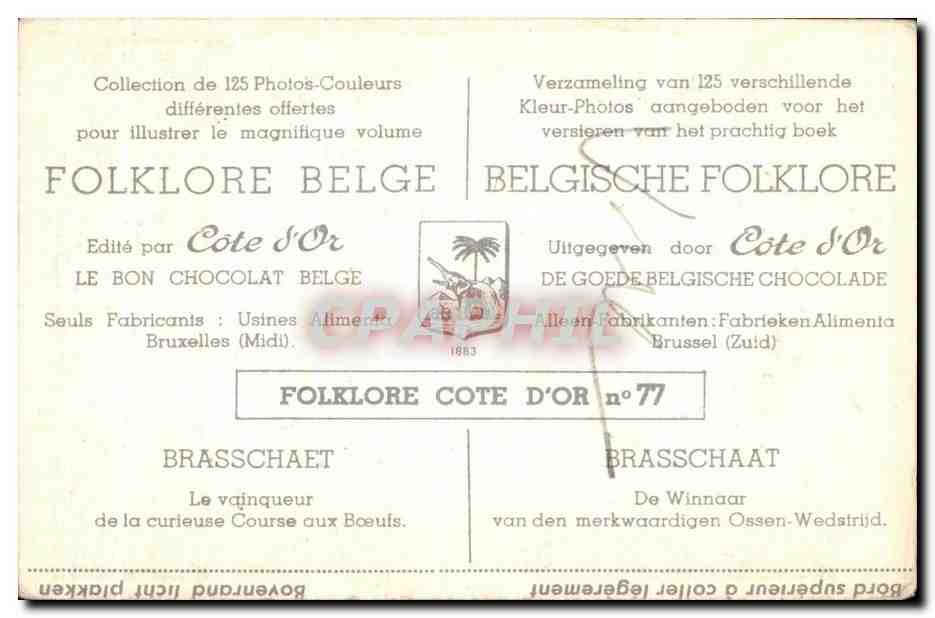 Image Folklore belge Cote d'or Brasschaert Le vainqueur de la curieuse course aux boeufs — Rückseite