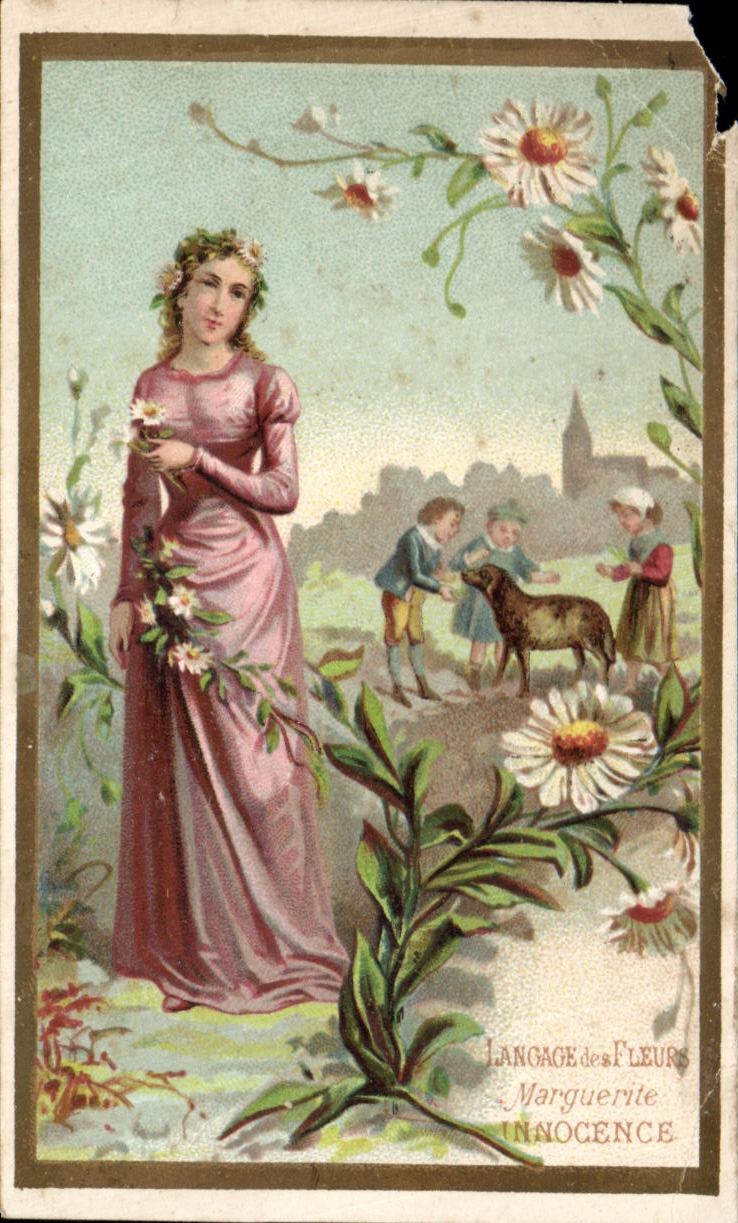 Chromo Langage Des Fleurs Marguerite Innocence Femme Chien 