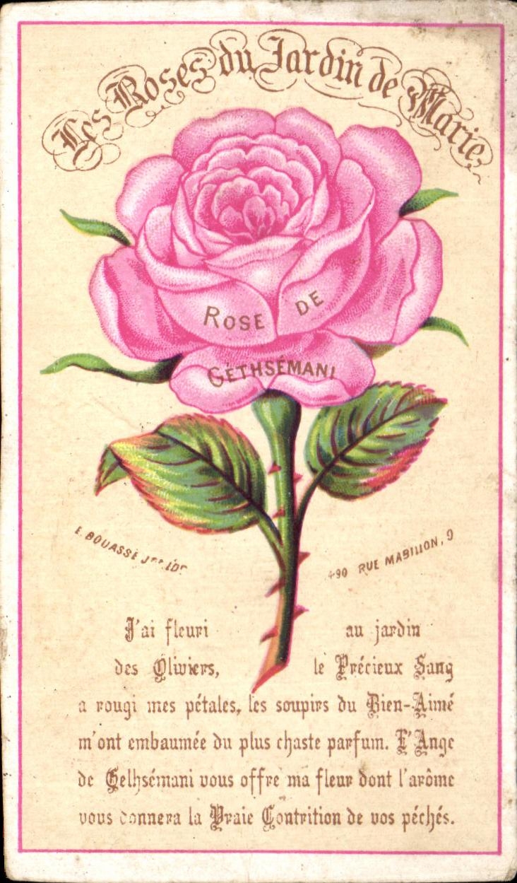 Chromo Les Roses Du Jardin de Marie Gethsemani