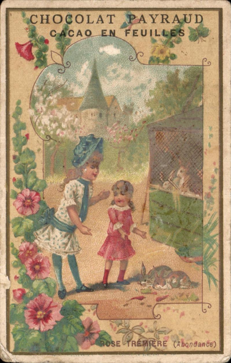 Chromo Chocolat Payraud Cacao En Feuilles Rose Tremiere Enfants Lapins