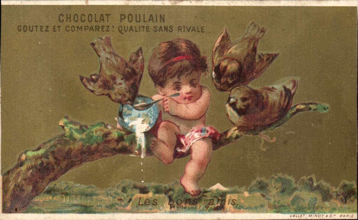 Chromo Chocolat Poulain Enfants Oiseaux 