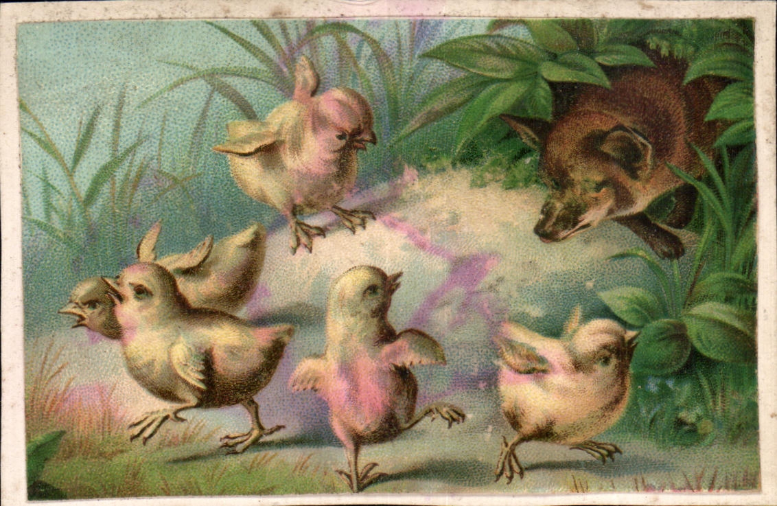 Chouettes et renard — scène animale — Chocolaterie Nantaise Berthelot J.