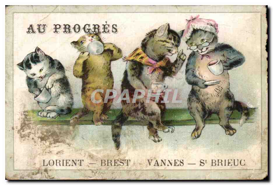 Chromo Au Progres Lorient Brest Vannes St Brieuc chats Chatons 