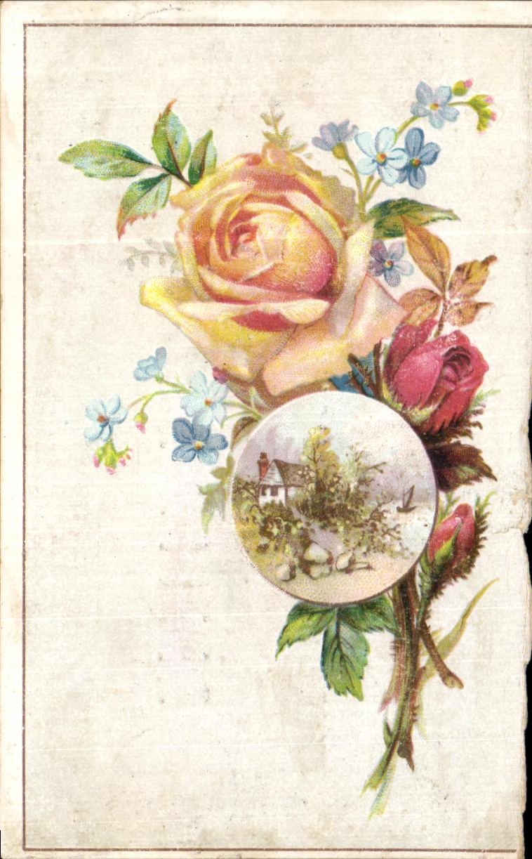 Chromo Maison De Confiance H Weil Tailleur Au Prince Eugene Rue de Siam Brest Fleurs
