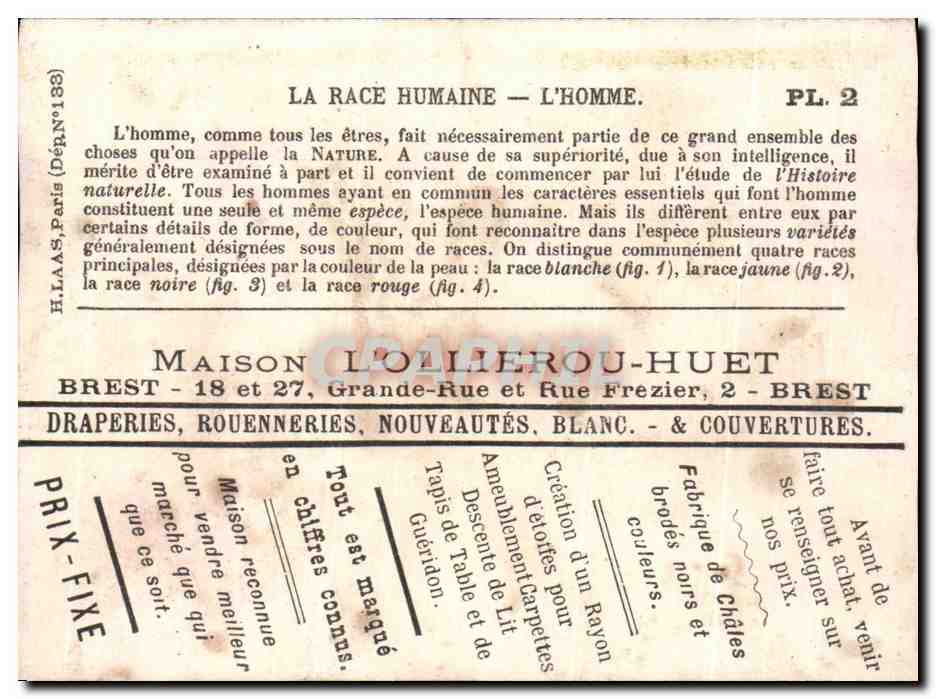 Chromo La Race LHomme Maison L'Ollierou Huet Brest Grande Rue et Rue Frezier Indiens Chinois  — Rückseite