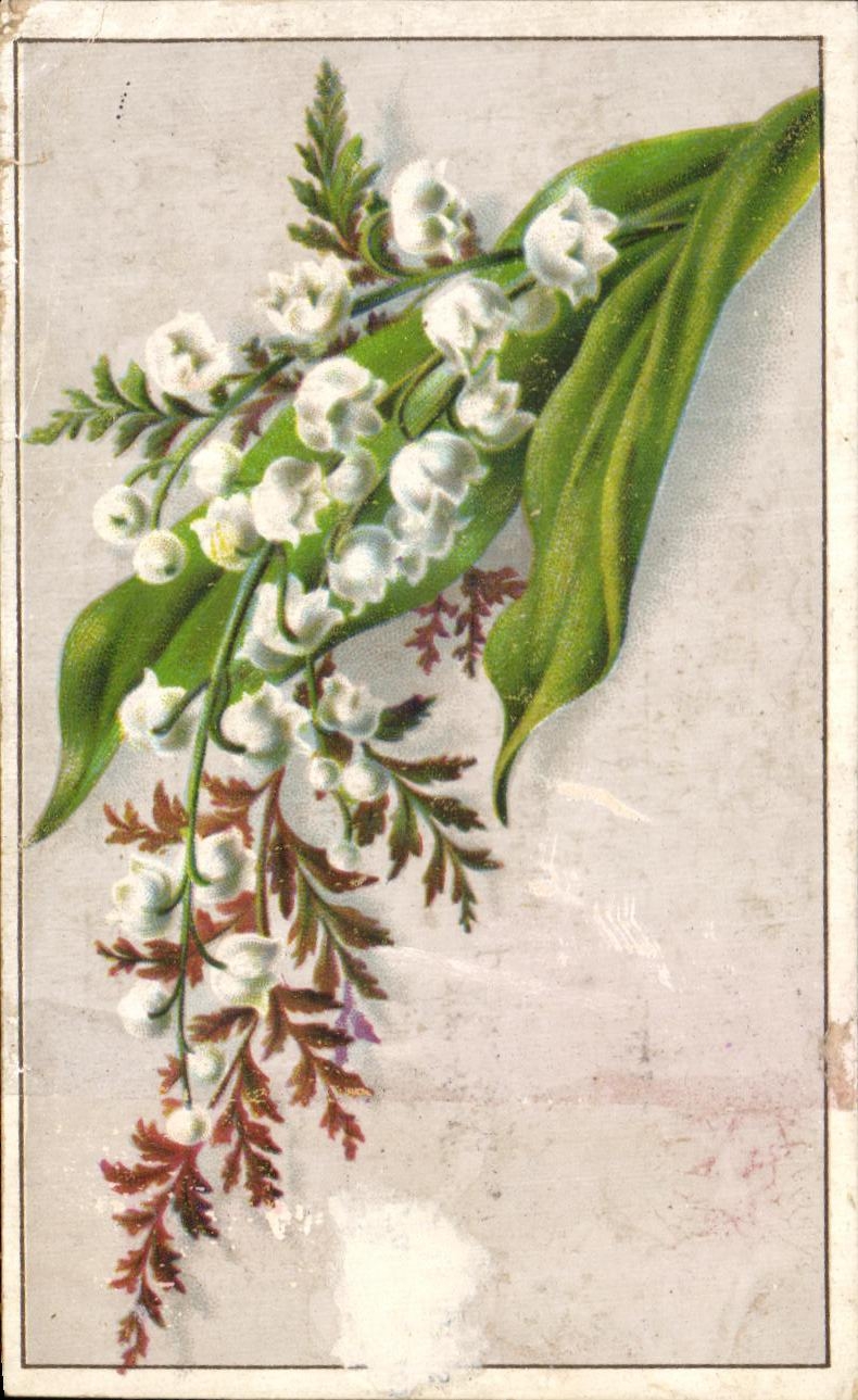 Chromo Au Souvenir A l'angle des Rues de siam et d'aiguillion Muguet