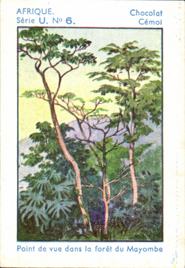 Image Afrique Chocolat Cemol Point de Vue dans la Foret du Mayombe