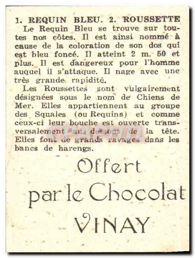 Image Requin Bleu Boussette Chocolat Vinay — Verso
