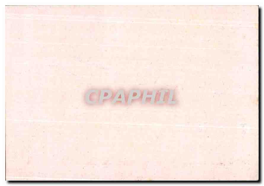 Image Cameleon Attrapant Un Papillon Chocolat Cemol — Verso