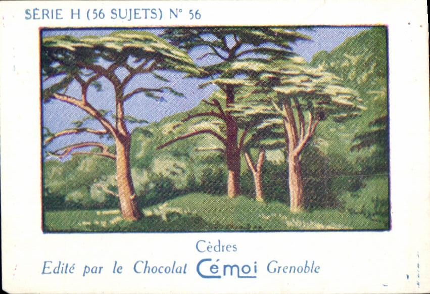 Image Cedres edite Par le Chocolat Cemol Grenoble