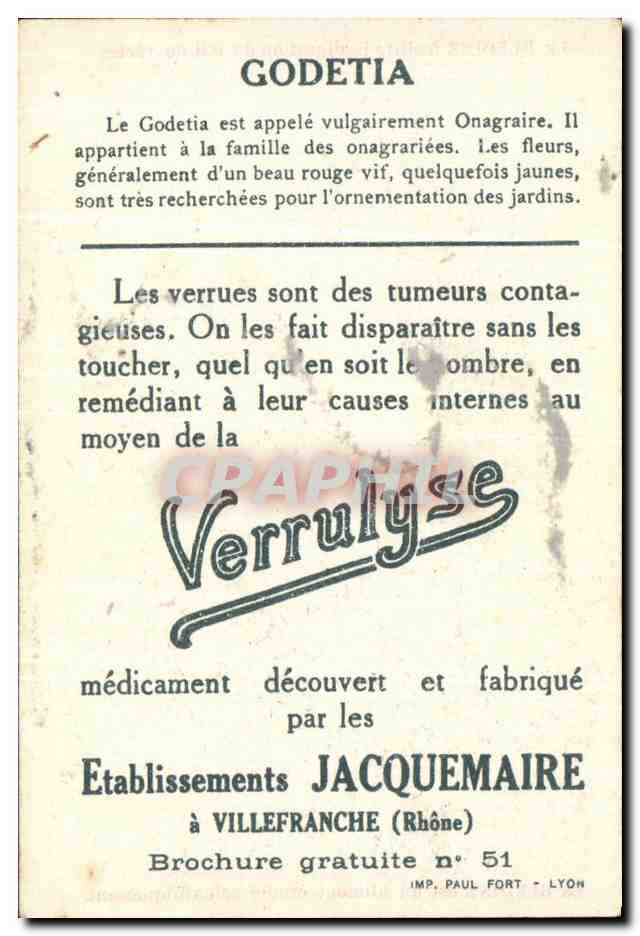 Image Verrulyse Jacquemaire Villefranche Le Bledine Godetia — Verso