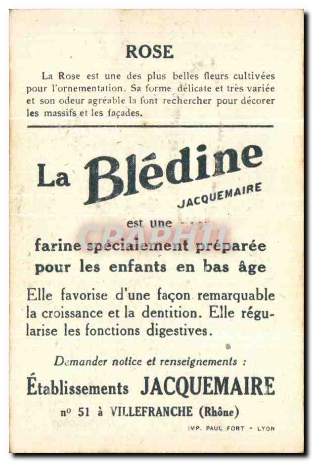Image Bledine Rose — Verso