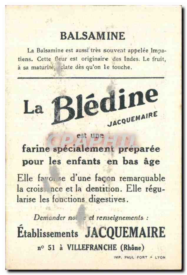 Image Bledine Balsamine — Verso