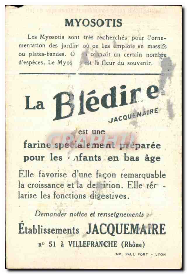Image Bledine Myosotis — Verso