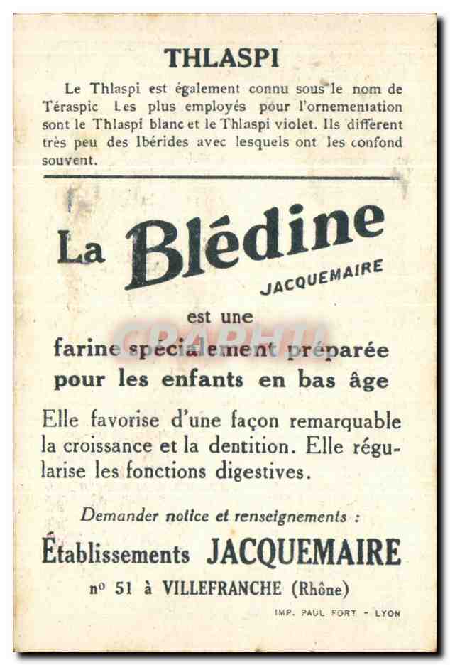 Image Bledine Thlaspi — Verso