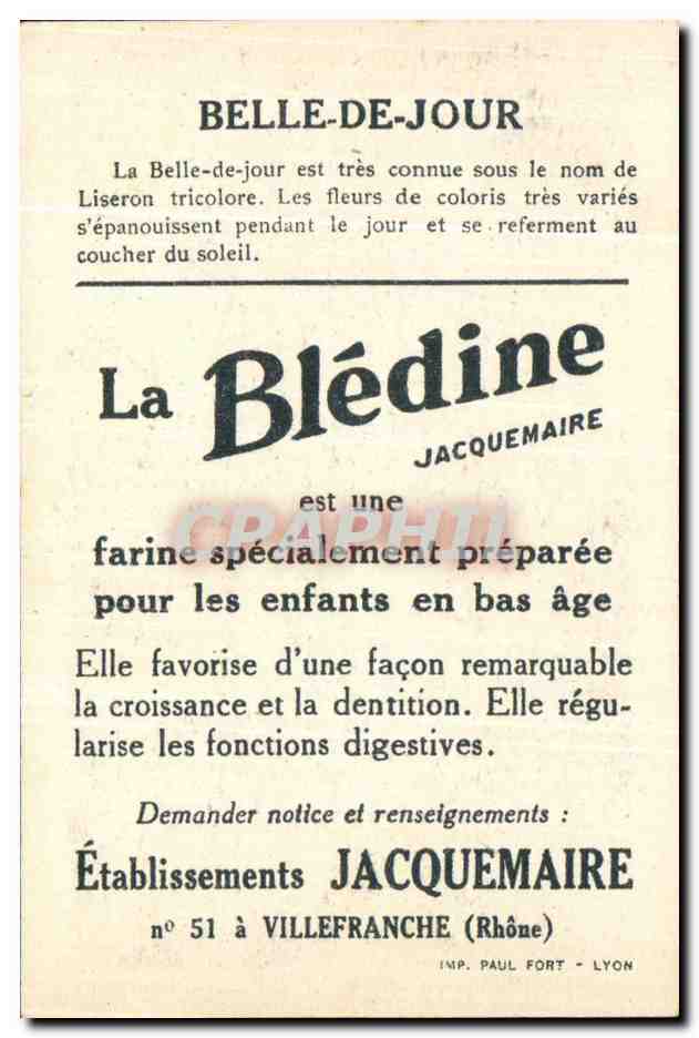 Image Bledine Belle De Jour — Verso