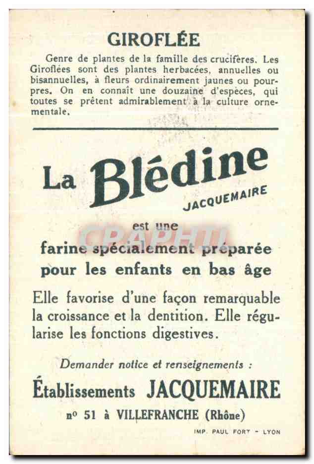 Image Bledine Giroflee — Verso