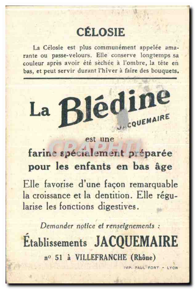 Image Bledine Celosie — Verso