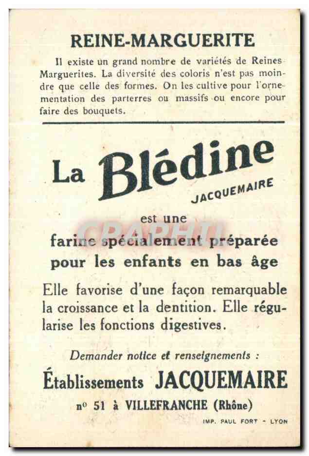 Image Bledine Reine Marguerite  — Verso