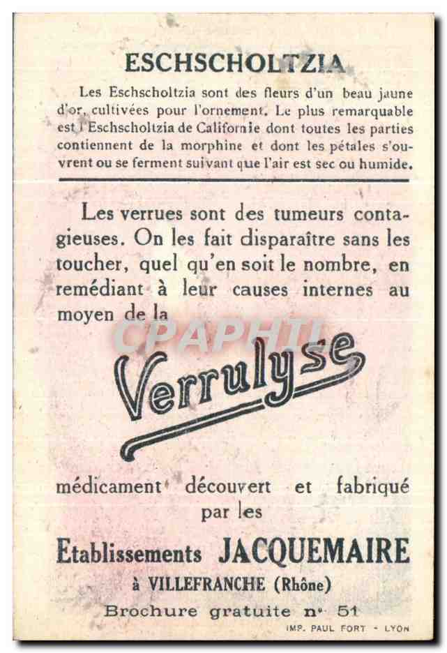 Image Bledine Eschscholtzia  — Verso