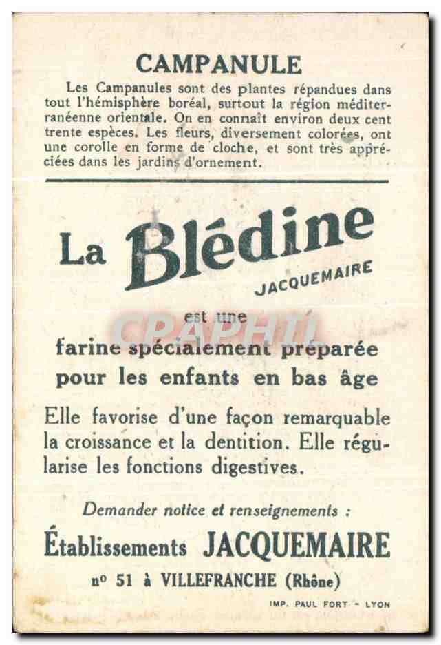 Image Bledine Campanules  — Rückseite