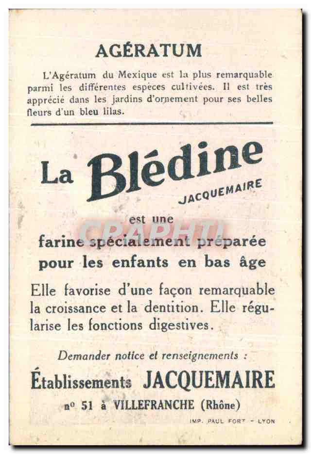 Image Bledine Ageratum  — Verso