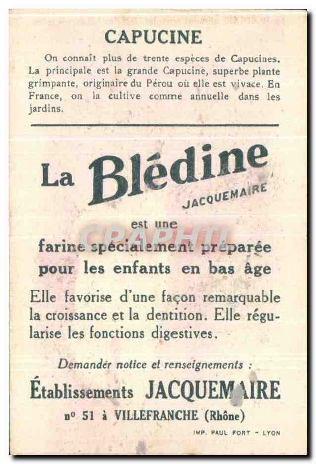 Image bledine Capucines  — Verso