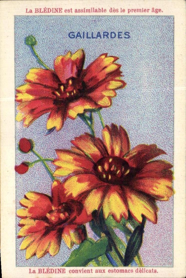 Image bledine Gaillardes 